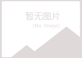 邙山区苍白会计有限公司